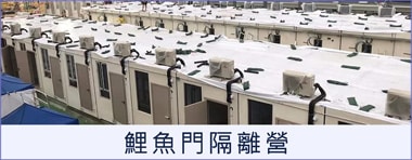 除甲醛 鯉魚門隔離營